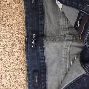 Plus Size Vigoss Jeans